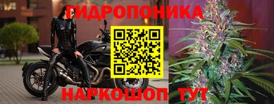 ешки Лесосибирск